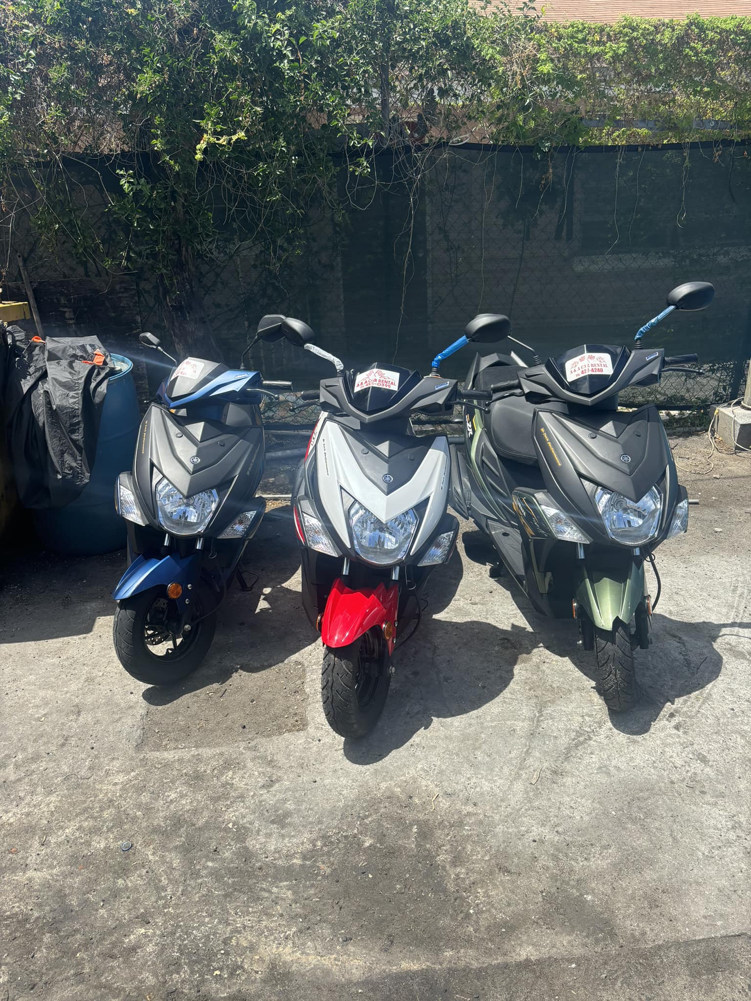 Scooter Rentals