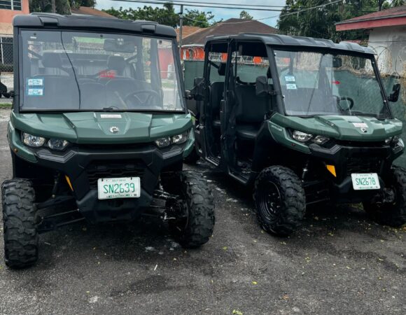 Side By Side (Buggy)