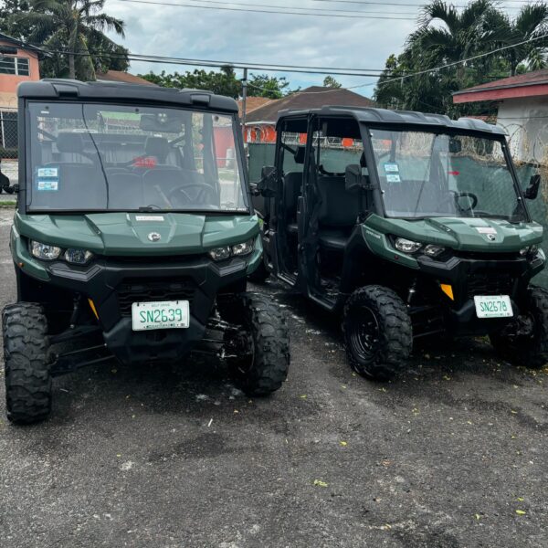 Side By Side (Buggy)